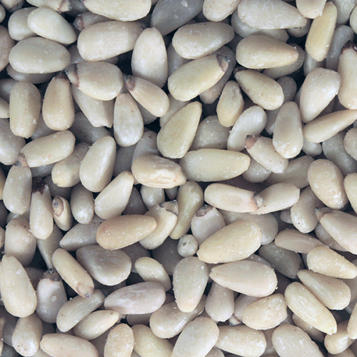Pine Nuts - Organic - 1kg